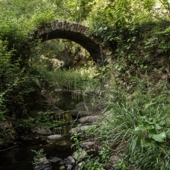 Raf – Riflessi Associazione Fotografica - Marina Ceccarini Montorgiali Ponte Romano